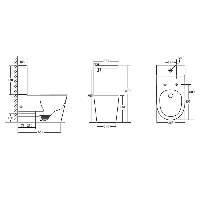 Barcelona DDA Disabled Care Rimless Back to Wall Toilet