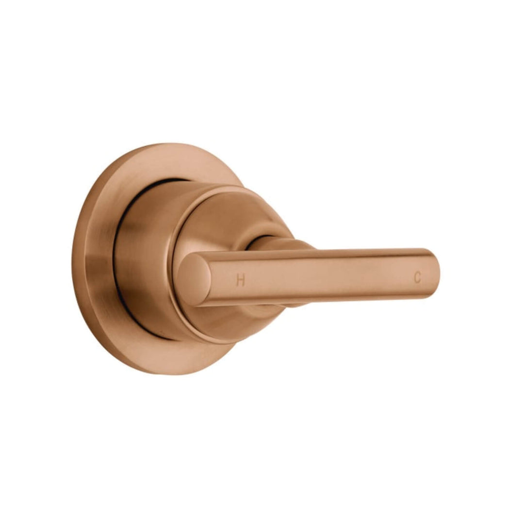 Barre Progressive Wall Mixer