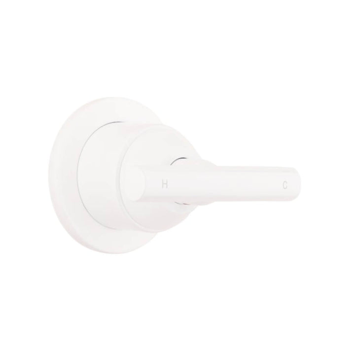 Barre Progressive Wall Mixer