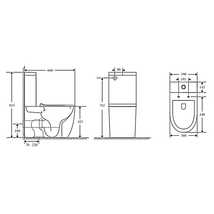 Dublin Egg Shaped Rimless Back to Wall Toilet Suite
