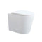 Eva Box Rim In Wall Gloss White Toilet R&T Package