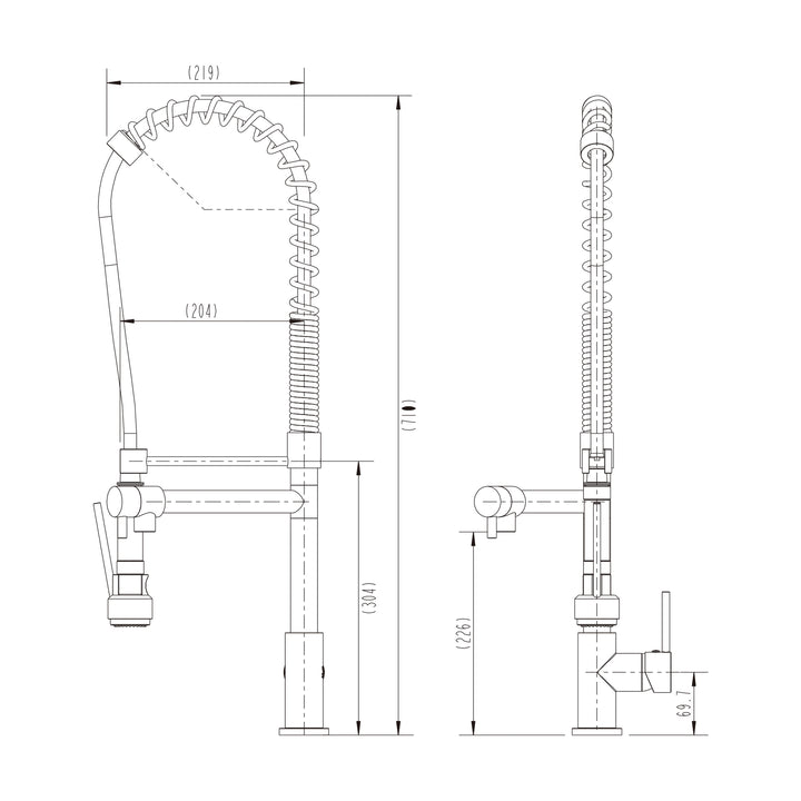 Halo Spring Multi-Function Sink Mixer
