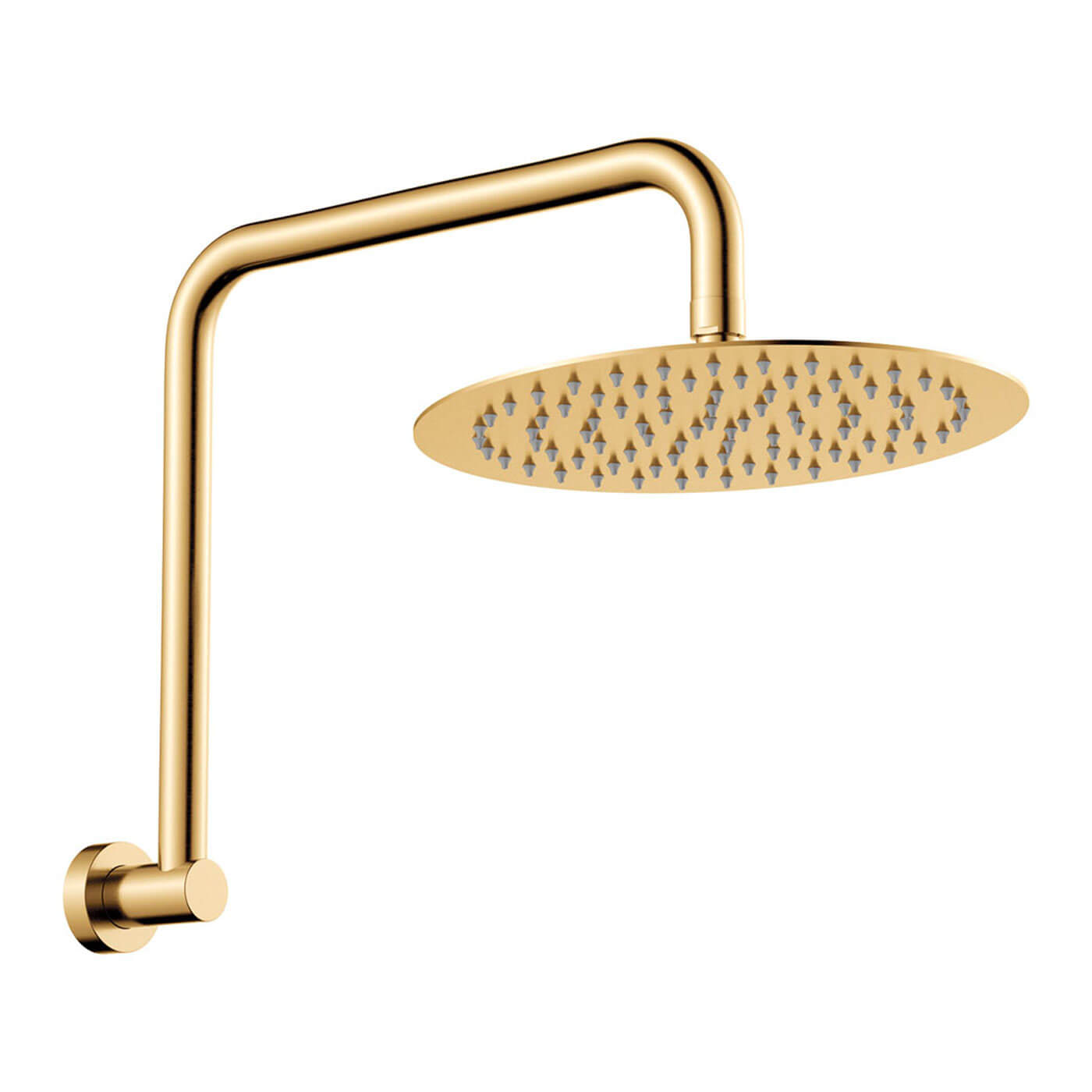 Fienza Kaya Gooseneck Shower Arm with Head 250mm Sunlight Bathrooms