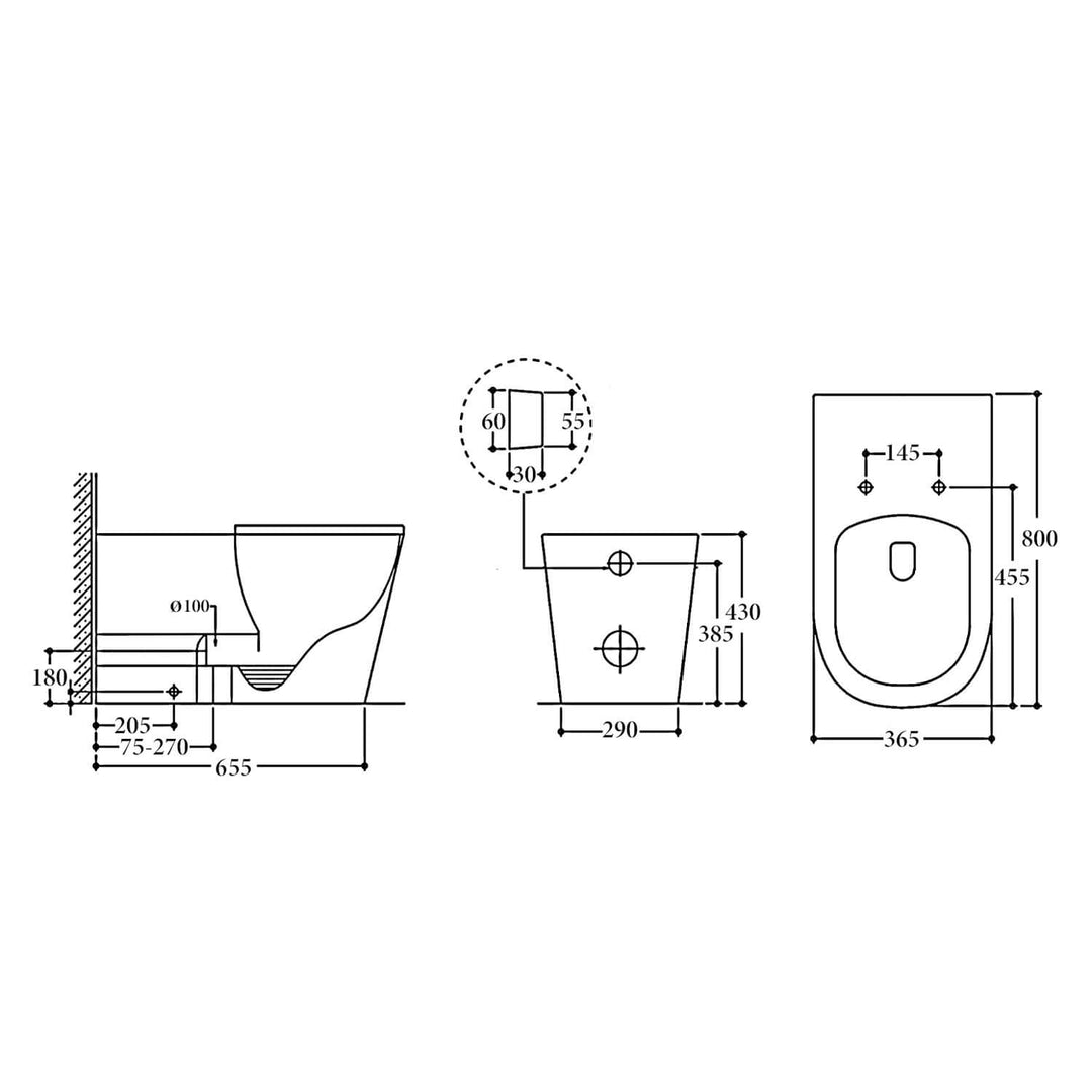 Madrid DDA Rimless In-Wall Disabled Care Toilet