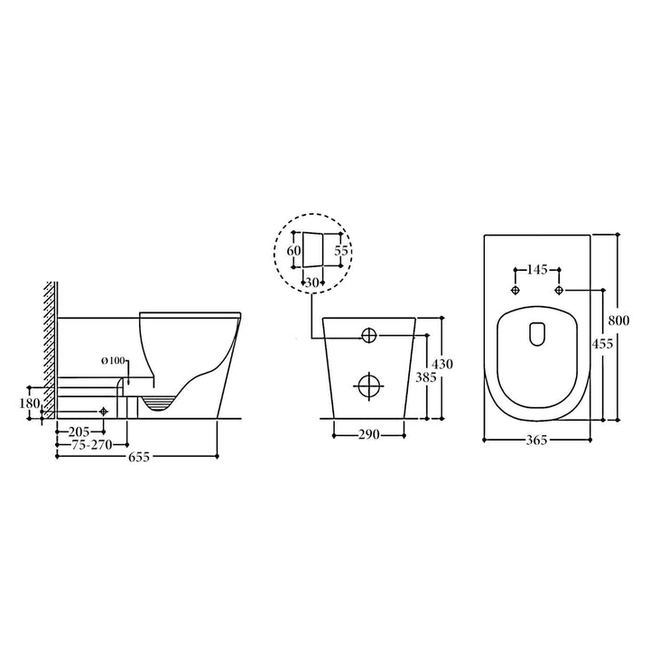 Madrid DDA Rimless In-Wall Disabled Care Toilet