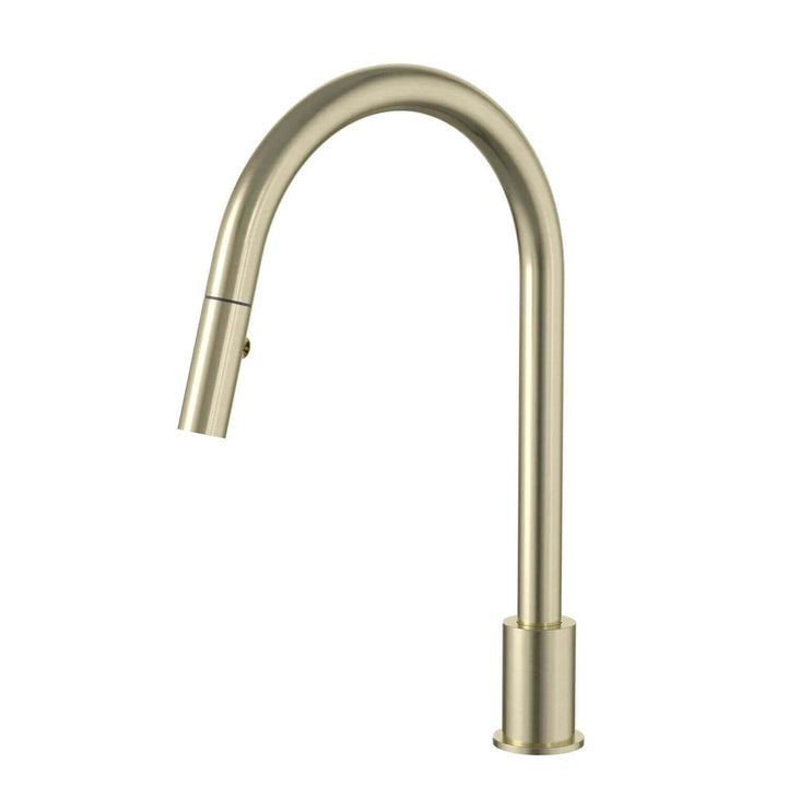 Meir Swivel Pull Out Sink Spout