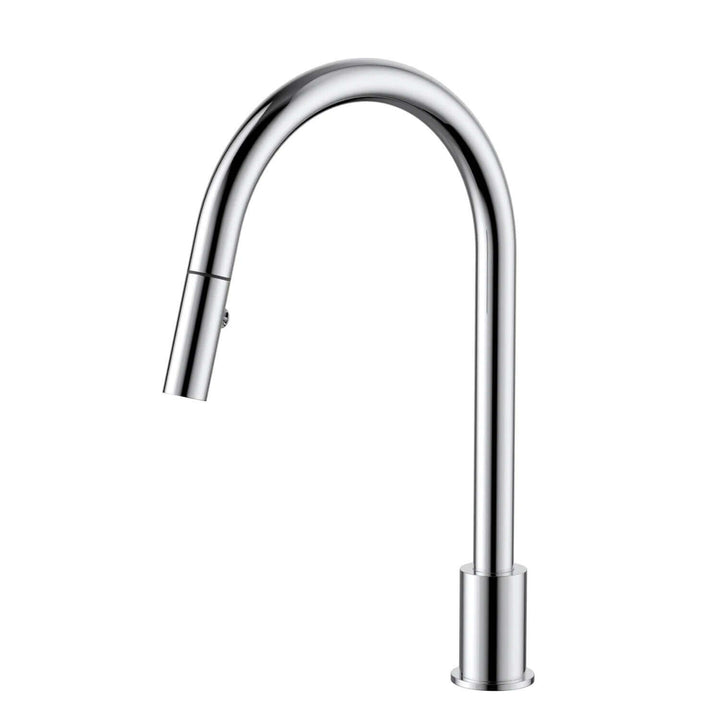 Meir Swivel Pull Out Sink Spout