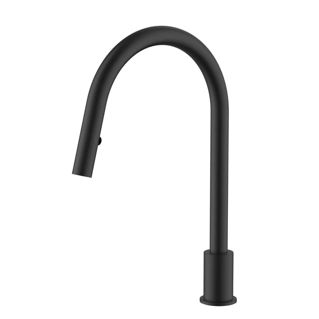 Meir Swivel Pull Out Sink Spout