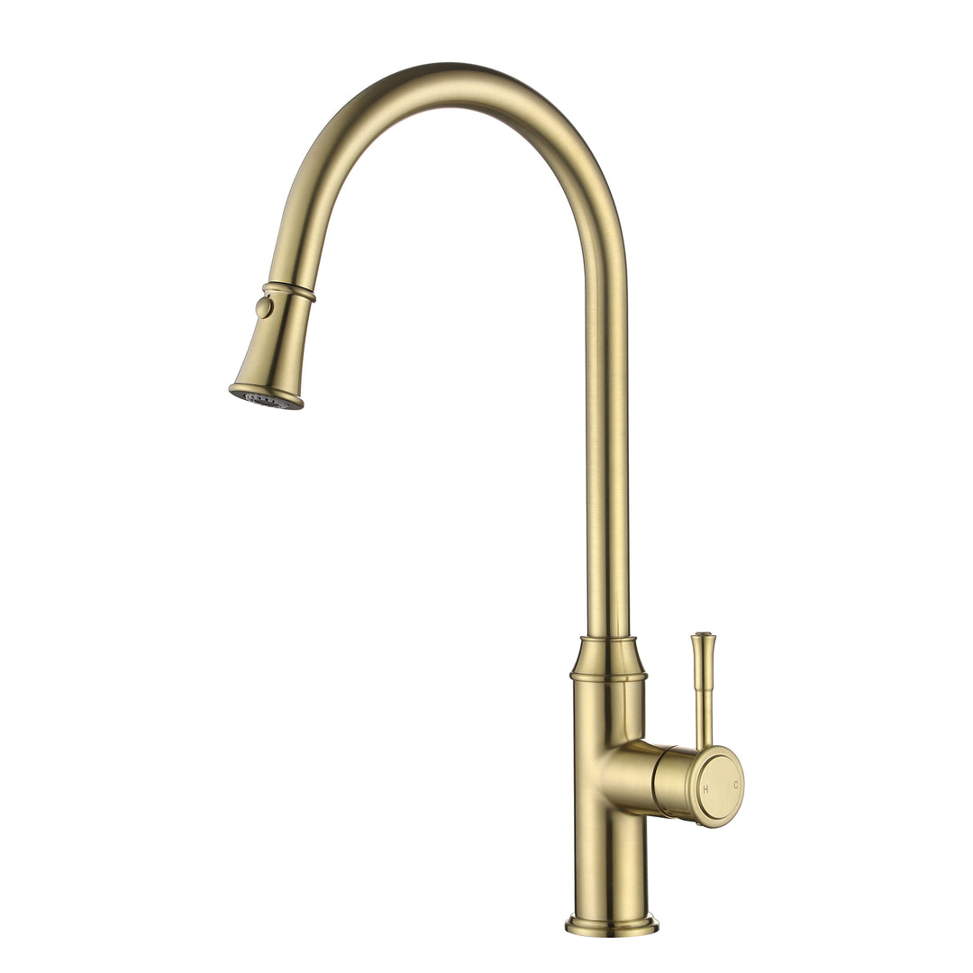 Montpellier Pull-Out Sink Mixer
