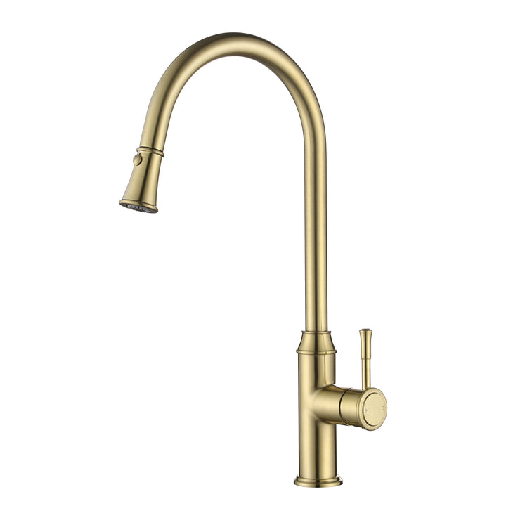 Montpellier Pull-Out Sink Mixer