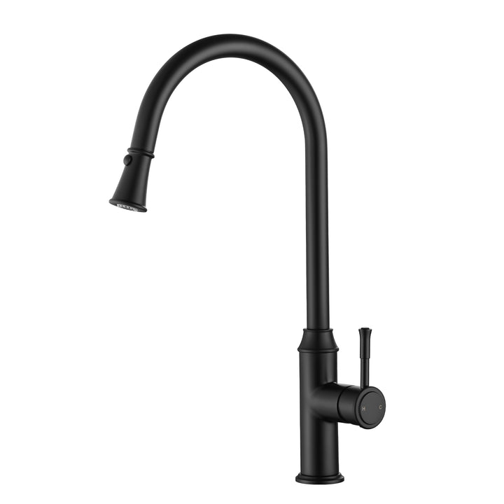 Montpellier Pull-Out Sink Mixer