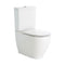 RAK Moon Back to Wall Toilet Suite