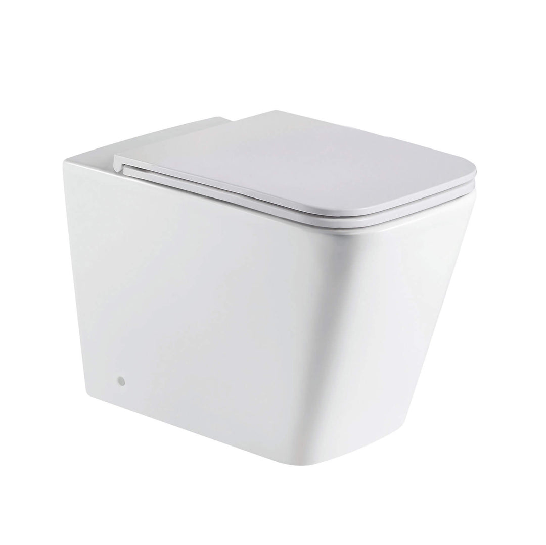 Turin In Wall Rimless Toilet Geberit Sigma 20 Package