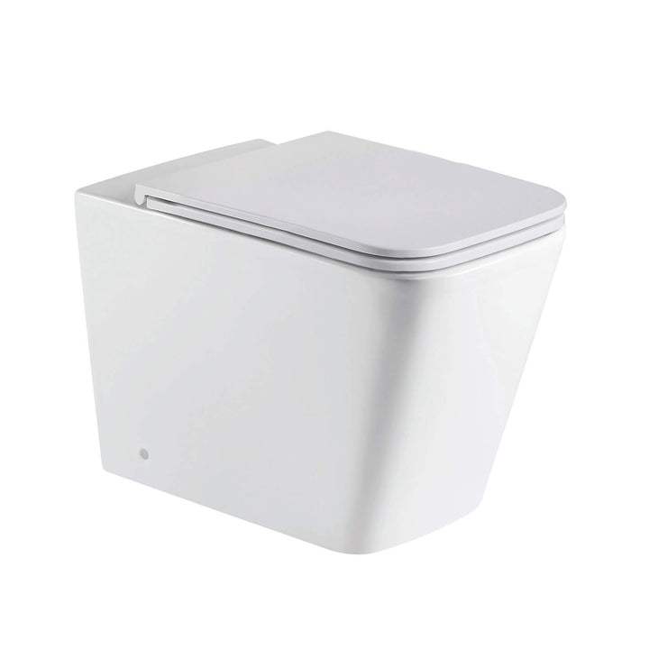 Turin In Wall Rimless Toilet Geberit Sigma 20 Package