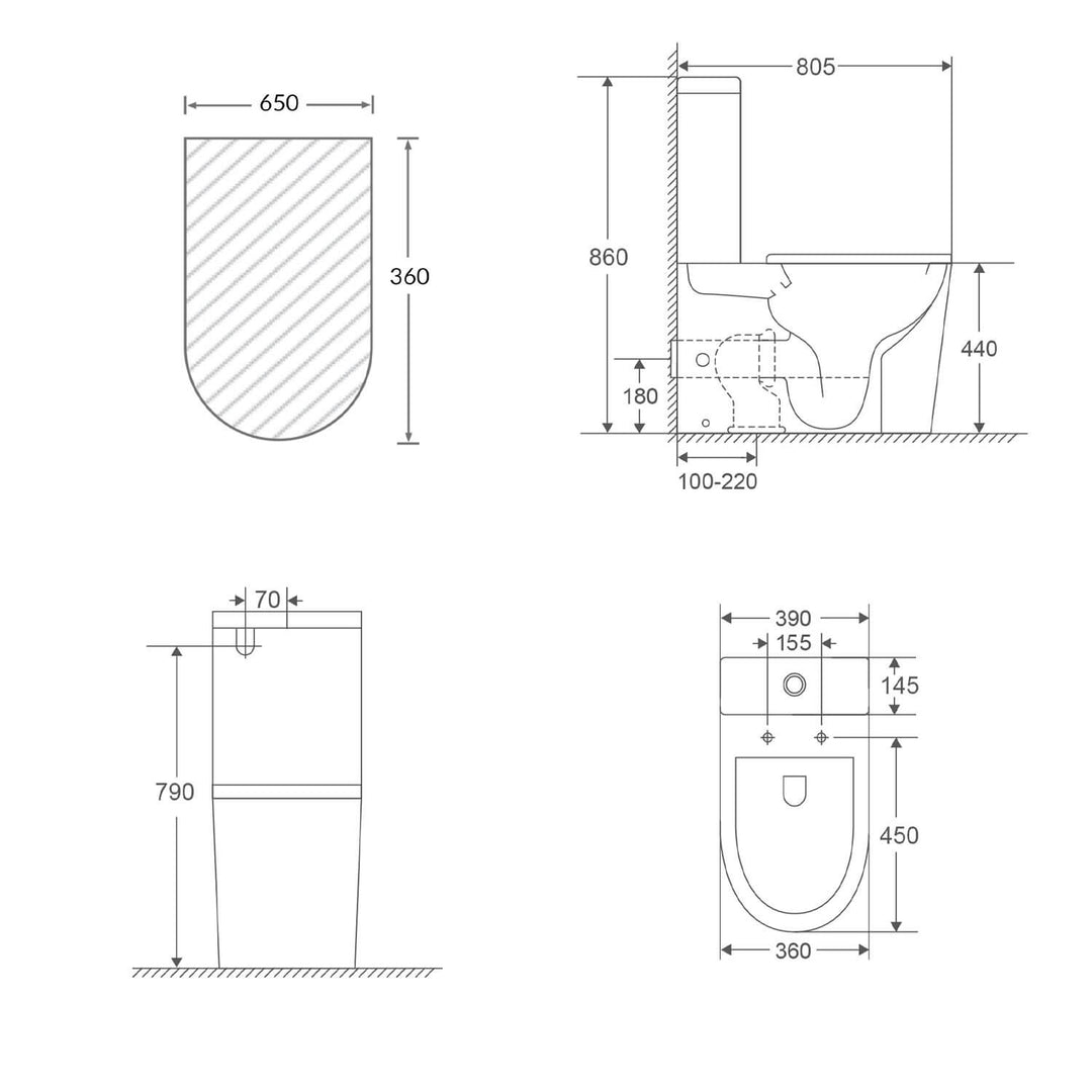 Valencia DDA Disabled Care Rimless Back to Wall Toilet