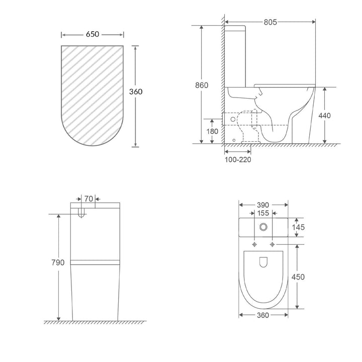Valencia DDA Disabled Care Rimless Back to Wall Toilet