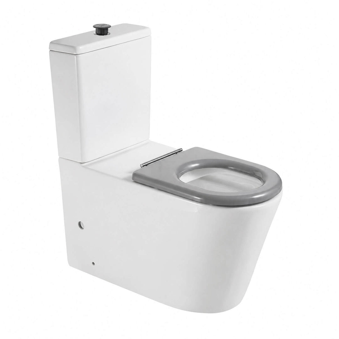 Valencia DDA Disabled Care Rimless Back to Wall Toilet