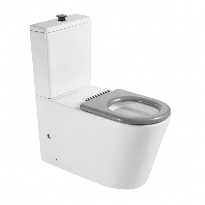 Valencia DDA Disabled Care Rimless Back to Wall Toilet