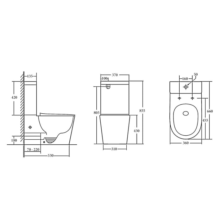 Vera Rimless Cyclone Flush Back to Wall Toilet Suite