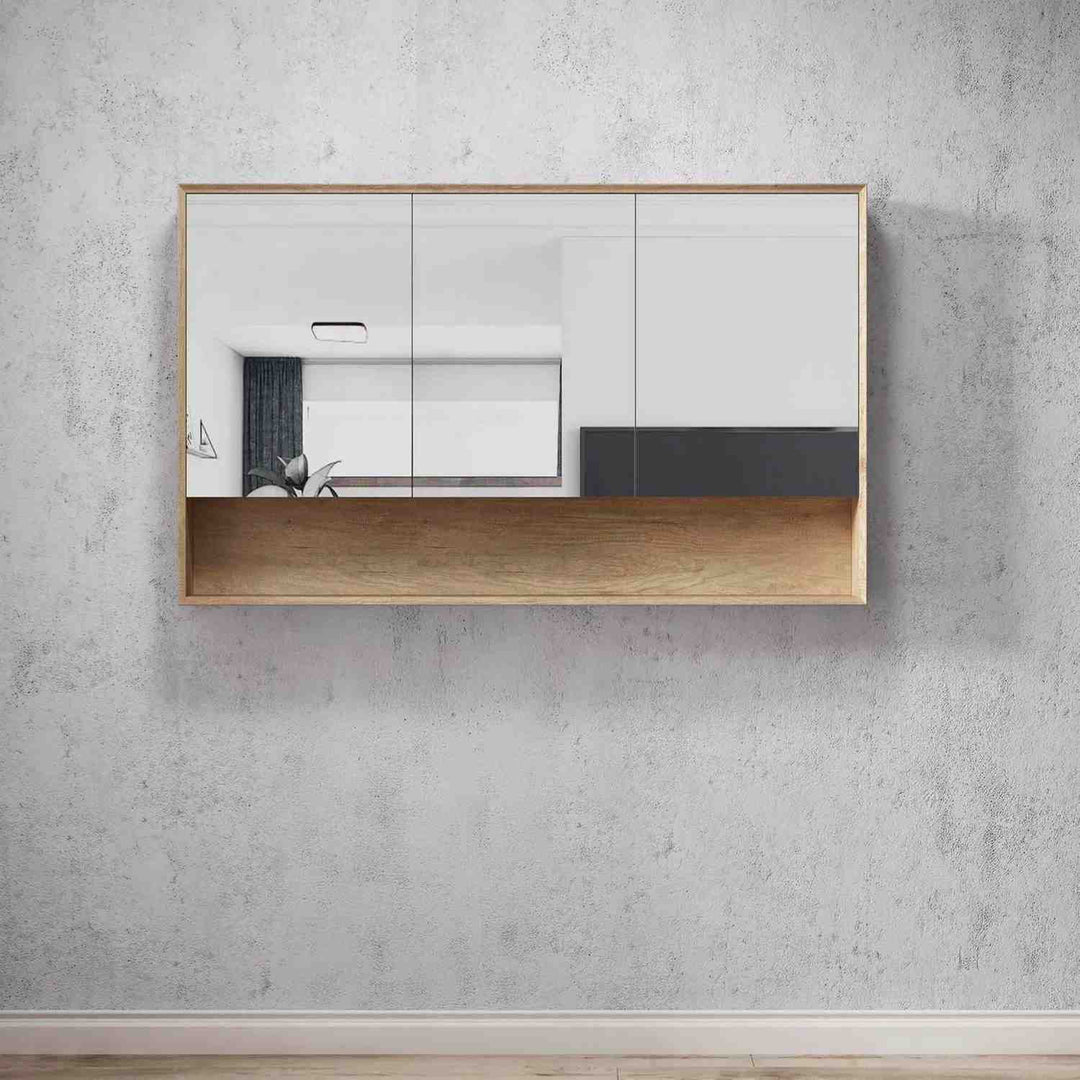 Byron Mirror Shaving Cabinet with Shelf