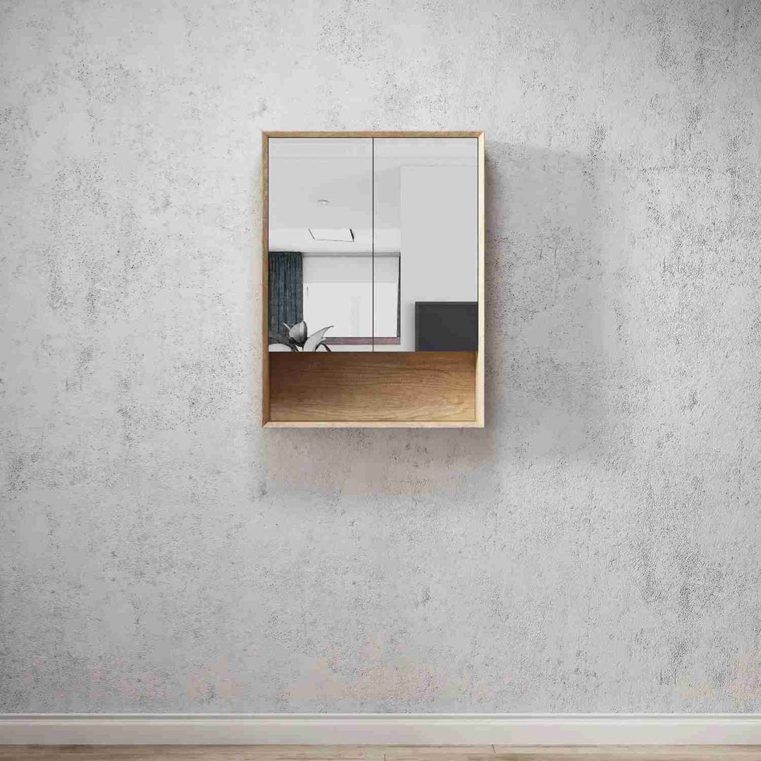 Byron Mirror Shaving Cabinet with Shelf