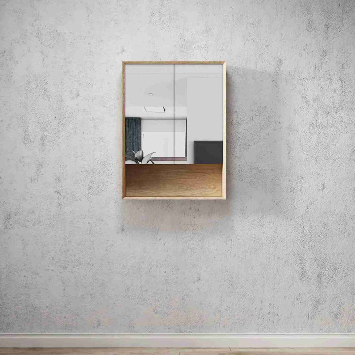Byron Mirror Shaving Cabinet with Shelf