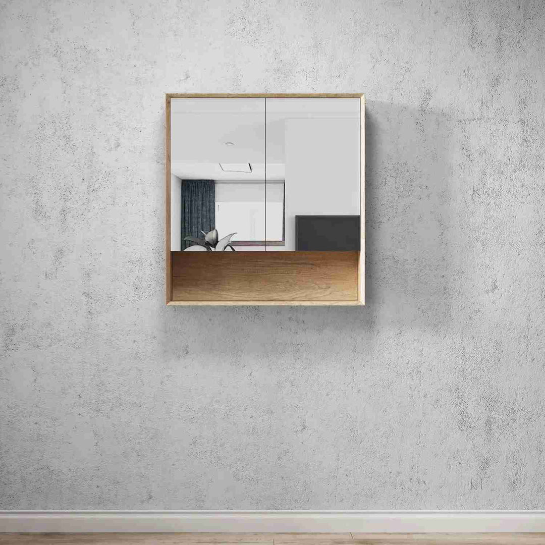 Byron Mirror Shaving Cabinet with Shelf