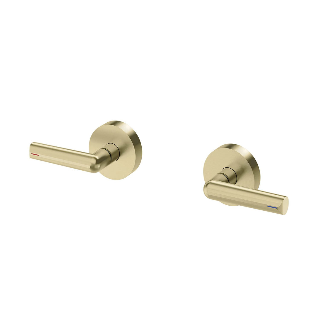 Vivid Slimline Plus Lever Wall Top Assemblies