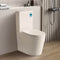 Art S22R Rimless Back to Wall Toilet Suite