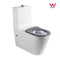 Barcelona DDA Disabled Care Rimless Back to Wall Toilet