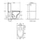 Dublin Egg Shaped Rimless Back to Wall Toilet Suite