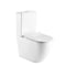Dublin Egg Shaped Rimless Back to Wall Toilet Suite