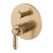 Eleanor Hamptons Vintage Shower Mixer Diverter