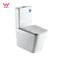 Florence Rimless Square Back to Wall Toilet Suite