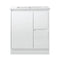 Limson White Soft-Close Floor Mounted Vanity (600-1500mm)