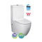 Toulouse Egg Shape Cyclone Flush Back to Wall Toilet Suite