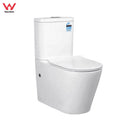Venice Cyclone Flush Back to Wall Toilet Suite